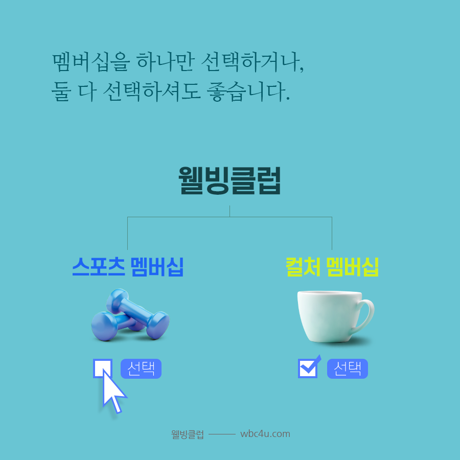 배너