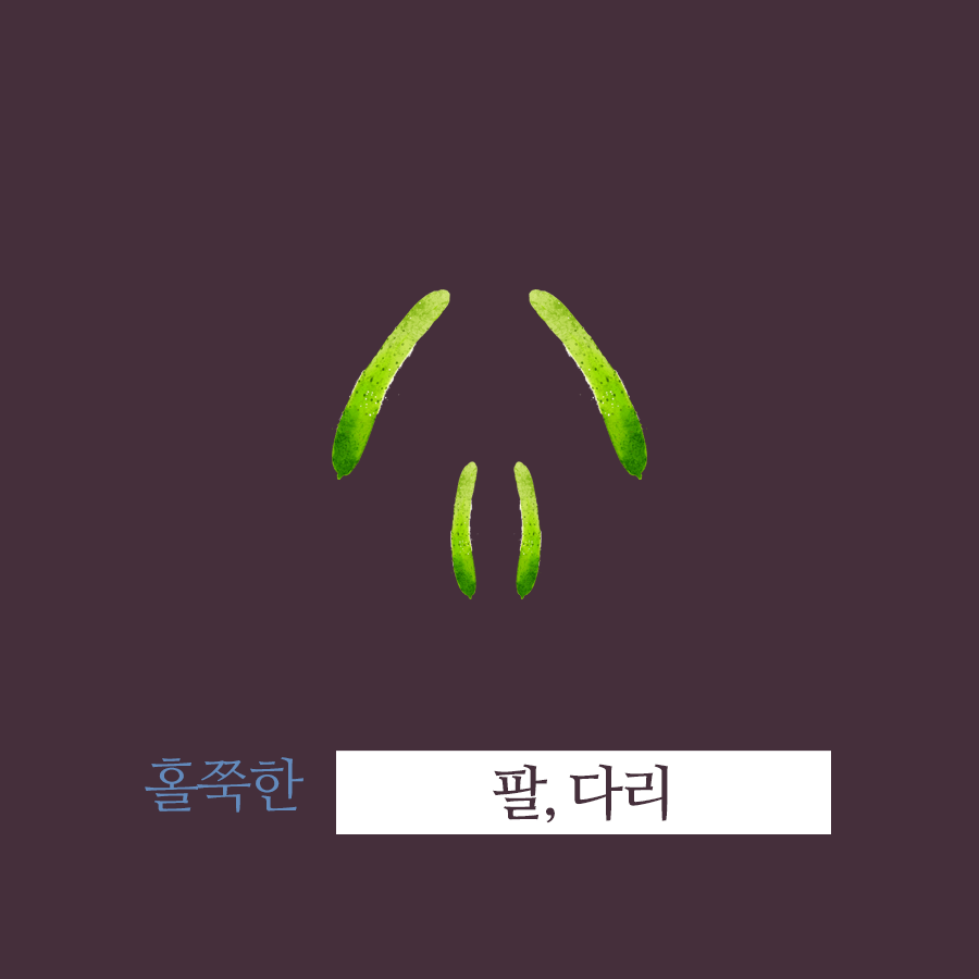 배너