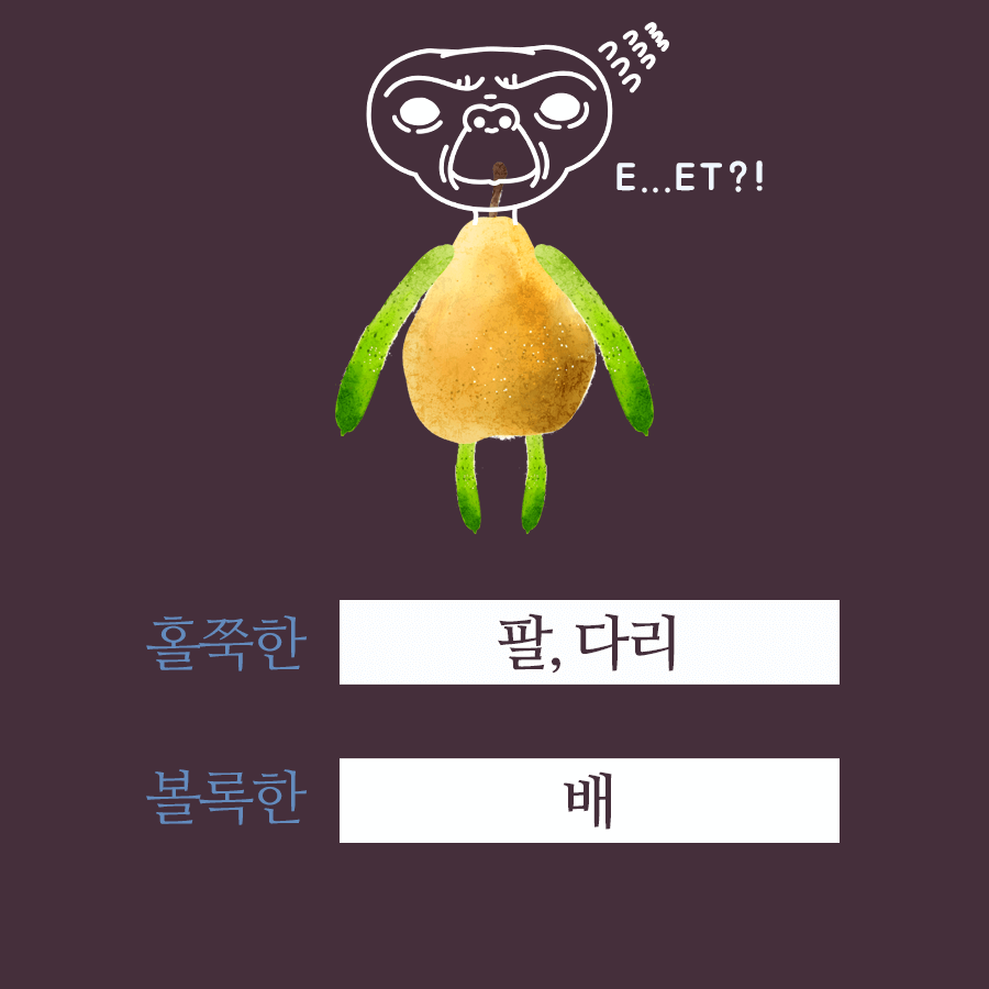 배너